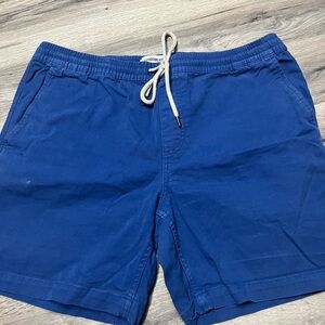 Goodthreads Vibrant Blue Casual Shorts